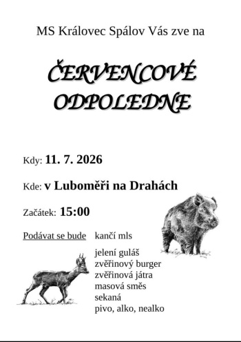 Červencové odpoledne
