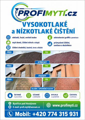 profimytí