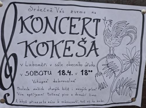 Koncert Kokeša